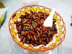 -水上人家河鲜