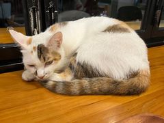 -转山咖啡(松柏社区店)