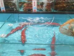 -尖沙咀酒店(大沥店)