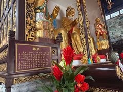 -葛仙湖公园
