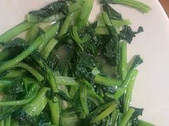 -鸽子窝(宋庄店)