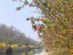 -元大都城垣遗址公园