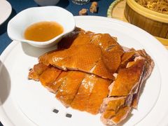 -金狮麟·新豫菜(金码大厦店)