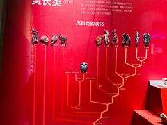 -国家自然博物馆