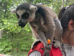 -水上乐园·欢乐世界