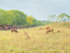 -良渚古城遗址公园