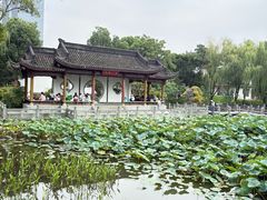 -武汉园博园(武汉自然博物馆)
