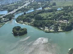 -嘉定凯悦·咖啡厅