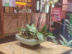 -黔蘑菇四季餐厅(观山湖店)