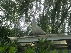 -金庭庄园酒店-停车场