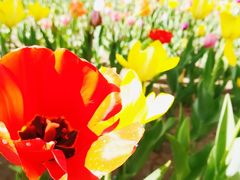 -长春公园(普阳街道)