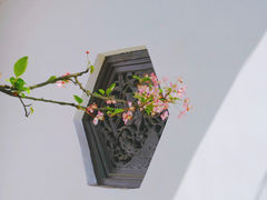 -棠湖公园