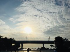 -宝安西湾红树林湿地公园