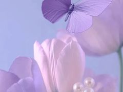 -紫丁香饭店-中餐厅