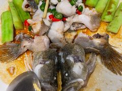 鲜花椒蒸桂花鲈-猪肉婆私房菜(容桂总店)