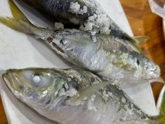 -海之鲜大排档(东山海鲜金銮湾店)