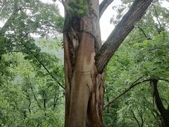-丰都鬼城名山景区