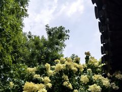 -三里河公园