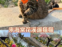 -元大都城垣遗址公园