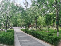 -莲花池公园