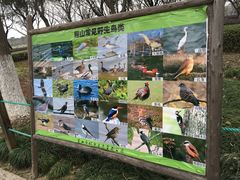 -昆山城市生态森林公园