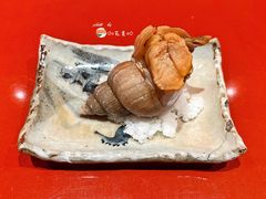 白螺-橼舍鮨青木
