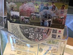 -鹿境梅花鹿生态园区