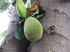 -番禺宾馆丽苑厅