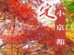 -秋霞圃