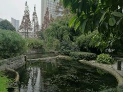 -成都市活水公园