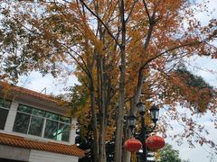 -广州市流溪河国家森林公园