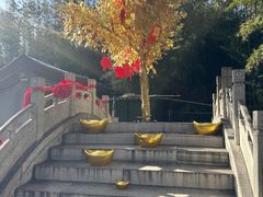 -红螺寺