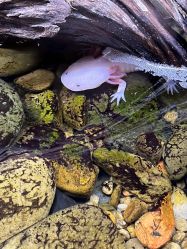 -Zoolung Zoolung动物主题公园(海信广场店)