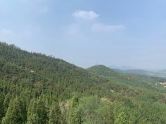 -龙口南山旅游景区