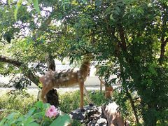 -丽泽山庄·生态怀柔菜·虹鳟鱼(红螺寺店)