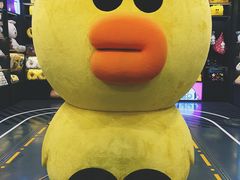 -line friends(明洞旗舰店)
