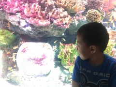 -暹罗海洋世界