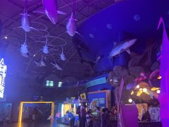 -烟台海昌鲸鲨海洋公园