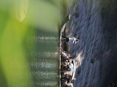 -九曲溪竹筏码头