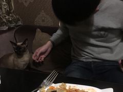 -吱咖啡西式简餐