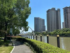 -陈家山荷花公园