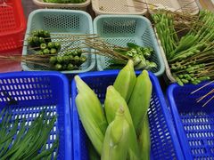 -三栋屋烧鸡