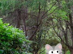 -广富林郊野公园