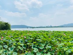 -云龙湖旅游景区