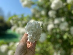-尚贤河湿地