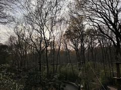 -WeLope紫金山探险公园