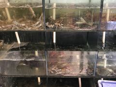 -天天渔港海鲜酒家(石浦玉泉路店)