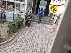 -上海蓝犀牛邦速搬家公司搬家