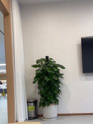 点击看大图 -上海伊莱美医疗美容医院