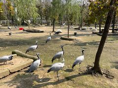 -哈尔滨北方森林动物园